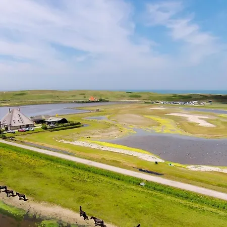 Zoute Bries, In Natuurgebied En Vlakbij Het *