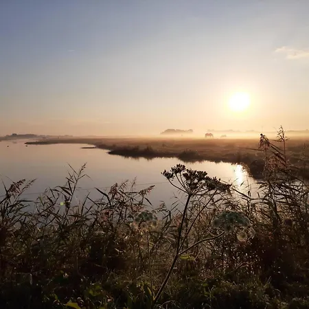 Zoute Bries, In Natuurgebied En Vlakbij Het *