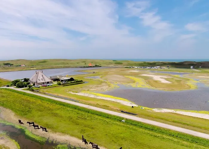 Zoute Bries, In Natuurgebied En Vlakbij Het *