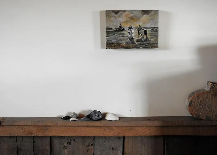 Zoute Bries, In Natuurgebied En Vlakbij Het *