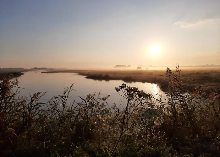 Zoute Bries, In Natuurgebied En Vlakbij Het *